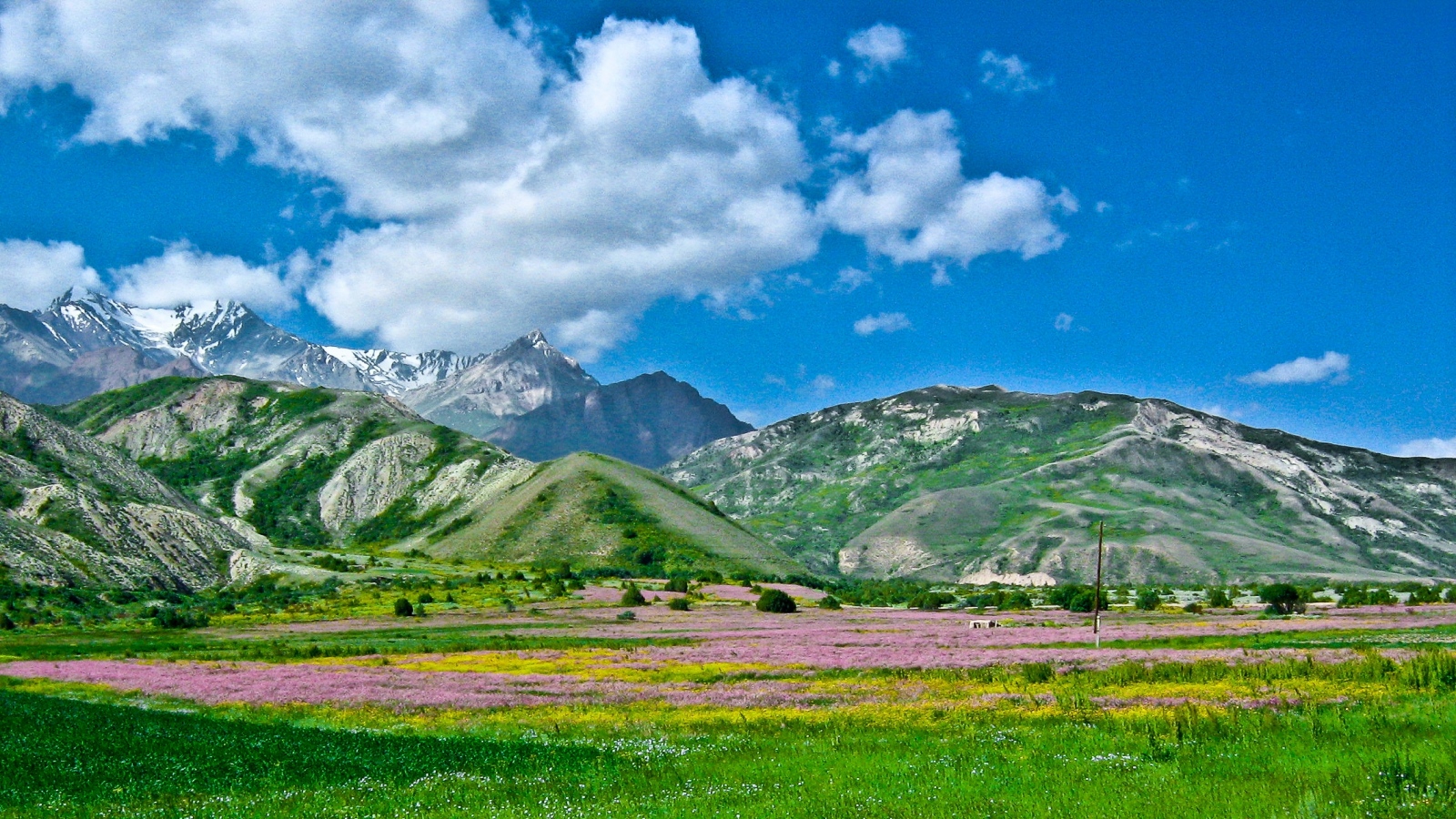 Горные ущелья Тарбагатай