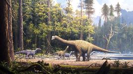 Динозавры - пазл 9