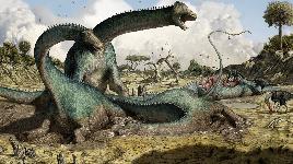 Динозавры - пазл 28