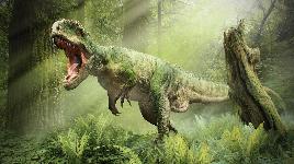 Динозавры - пазл 44