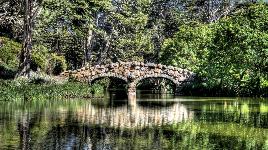 Каменный мост в лесу