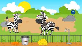 Зебры в зоопарке