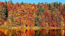 Осенний пейзаж 3