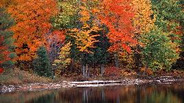 Осень, река