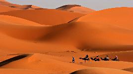Египет (в том числе). Самая большая пустыня на планете! Площадь - 8,6 млн. км² - 30% Африки. Кол-во атмосферных осадков здесь не более 50 мм в год.